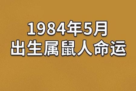 96年属鼠命理解析：解读人生轨迹与未来运势