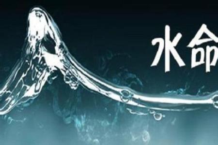 大林木命蛇与水命的完美融合：探寻最佳搭配之道