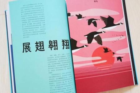 揭开1978年老鼠年的神秘面纱，探索命运与性格的奥秘