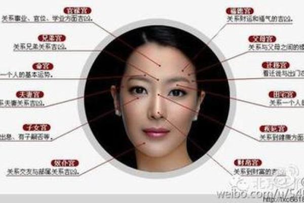 女人国字脸的命运解析：美丽与运势的微妙关系