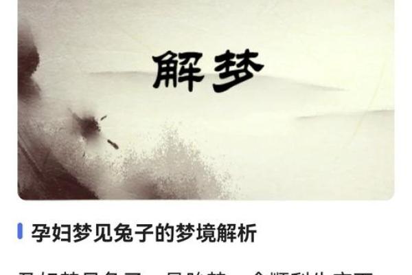 关于老兔子怀孕的命运解析与动物启示