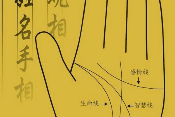 揭秘手相中的安逸命格：如何通过掌纹识别人生的幸福轨迹