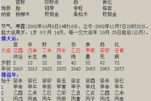 2006年出生的命格解析与人生启示