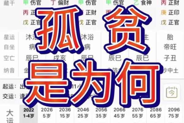 2006年出生的命格解析与人生启示