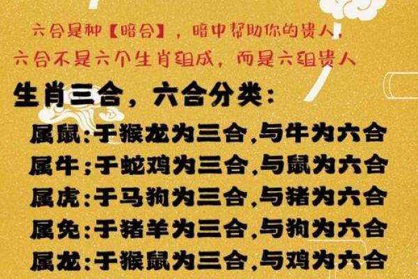 2006年属狗的好运与命运解析：解读生肖属相的秘密