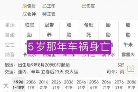 丙子年出生的命运解析：如何把握生活中的机遇与挑战