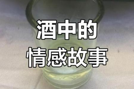 爱酒如命，酒中深情与千年故事的交织