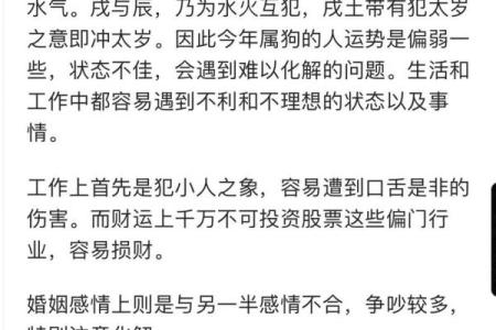 1978年属狗人的命运：解析命理与生活的多重内涵