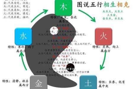 命理五行：解密人生轨迹的智慧之道