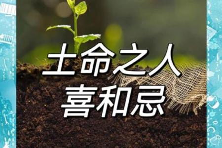 2018土狗年：木命人缺什么？探寻生命的奥秘与成长之路