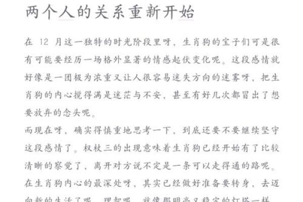 1981年出生的人的命运解析：揭秘属狗的你