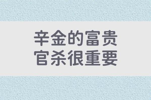 金命者的财富之路：选择赚钱生意的最佳选择