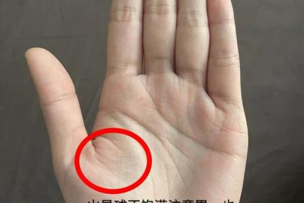 掌心掌纹变幻，命运潜藏之道揭秘