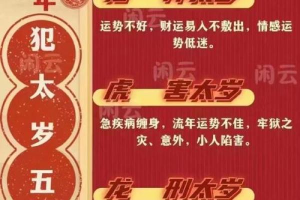丁巳日生：深探湿气命运的奥秘与调整方法
