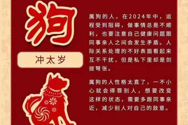 属狗人51岁：命运解析与人生智慧的探索