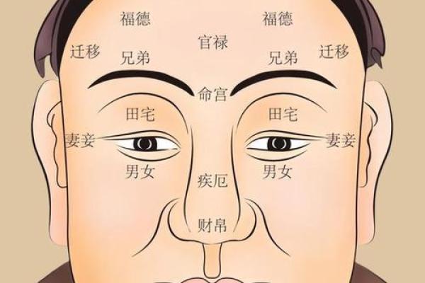 面相学揭秘：哪些面相的人天生旺妻命？