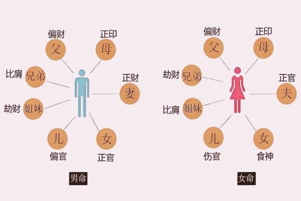 命理学中的正印：人生的庇护与智慧源泉