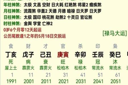 探索乙亥年1995出生者的命理与人生发展之路