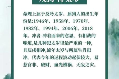 1982属狗人命理解析：揭秘天然的忠诚与智慧之路