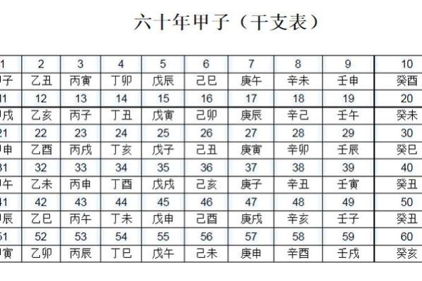 辛卯丁酉命人：命理解析与生活智慧的交融之旅