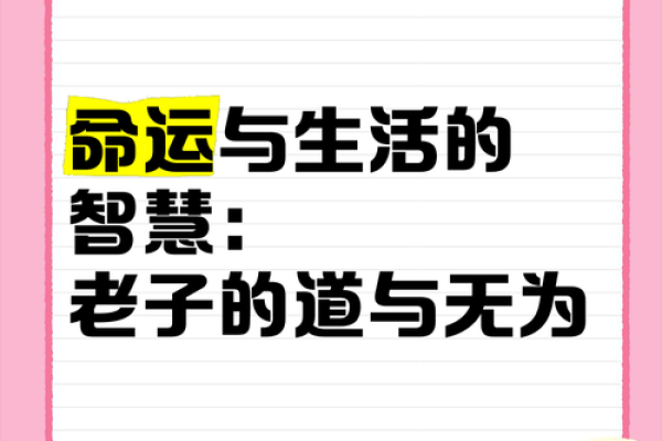 1983年男命解析：如何掌握命运与生活的智慧