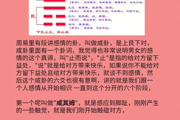 易经智慧:照顾人的命运与人生指南 易经智慧:照顾人的命运与人生指南