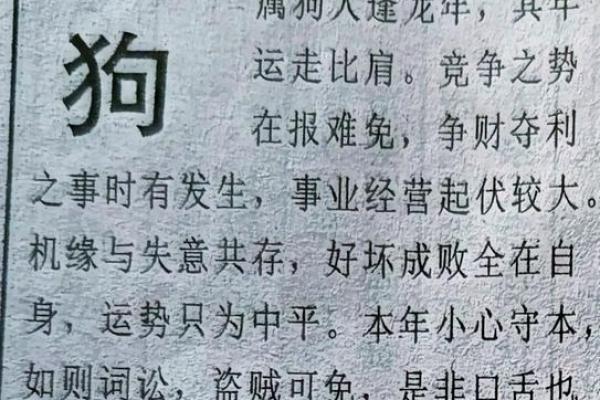 71年出生的狗：金命与命运的交织，解析属狗人的人生轨迹与特点