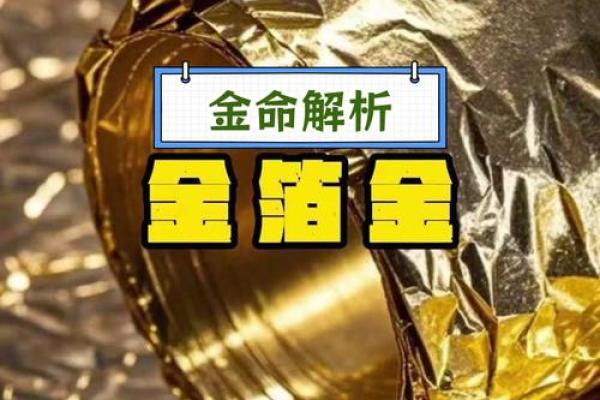 2015年宝宝命运解析：金命的独特特征与发展方向