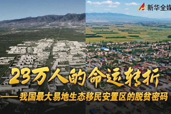 羊42岁后命运的转折与生机——探秘生活的智慧与转变 羊42岁后命运的转折与生机——探秘生活的智慧与转变