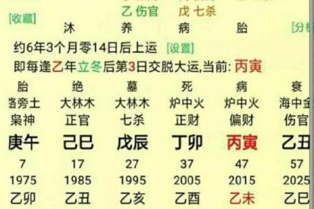 2018年阴历属什么命？揭秘这一年出生人的性格与命运