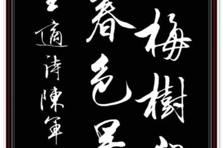 土命者的书法字体选择：优雅之美与内涵之道