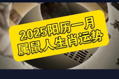 2022年：鼠与命运的交织，探索属鼠人生的奥秘与运势！