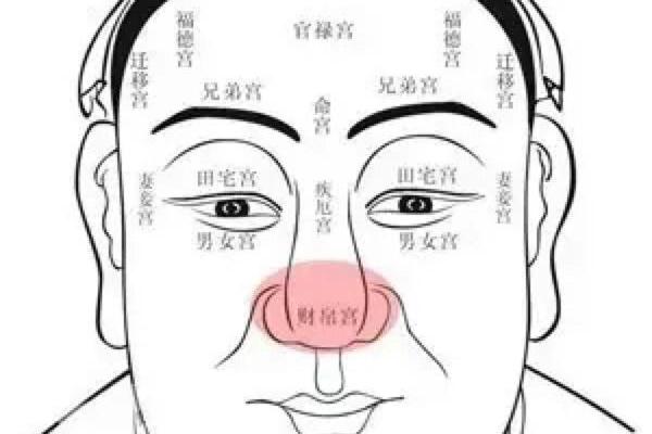 公主与丫鬟的命格之谜：谁才是真正的命运主宰？