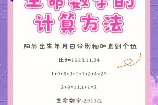 命理师与数字的奥秘:探索生命的隐秘密码 命理师与数字的奥秘:探索生命的隐秘密码