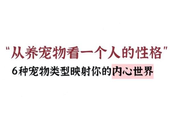 养猫的女人命理探秘：从爱猫看人生运势与性格特征