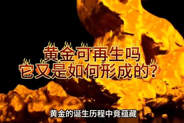 揭开2017年金命的神秘面纱：你的命运之钥在何方？