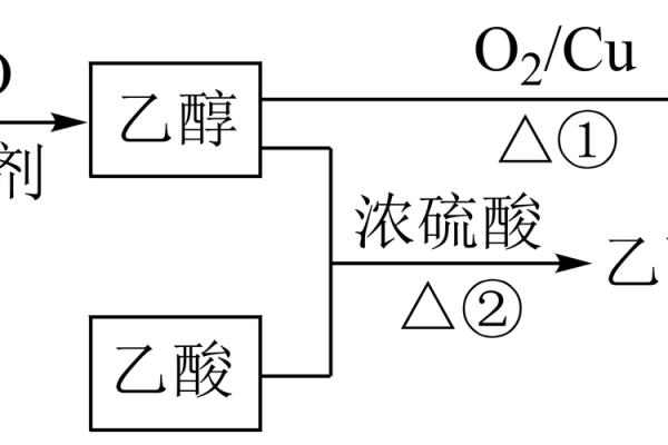 常常搬迁的命格：解读生命中的流动与转变