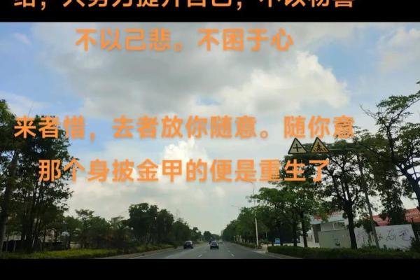 探求人生真谛:我惜你惜命命的深刻含义 探求人生真谛:我惜你惜命命的深刻含义