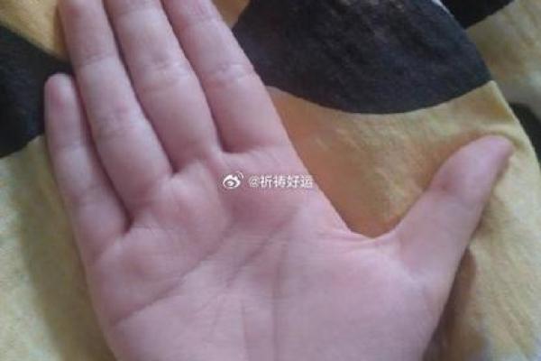 命里有掌纹,揭示你我命运的密码与人生轨迹 命里有掌纹,揭示你我命运的密码与人生轨迹