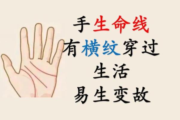 命里有掌纹,揭示你我命运的密码与人生轨迹 命里有掌纹,揭示你我命运的密码与人生轨迹