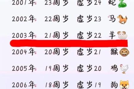 探秘23岁生肖与命运：揭开你的未来之谜