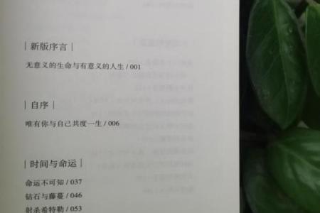 追寻生命的意义：当爱与牺牲不再是对立面