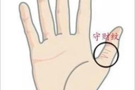 通过手纹看命运：揭示你的生活轨迹与未来机遇