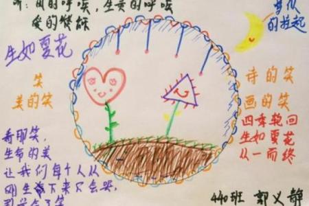 命理师与数字的奥秘：探索生命的隐秘密码