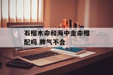 石榴木的命理分析：与之最旺的命理组合与生活中的应用