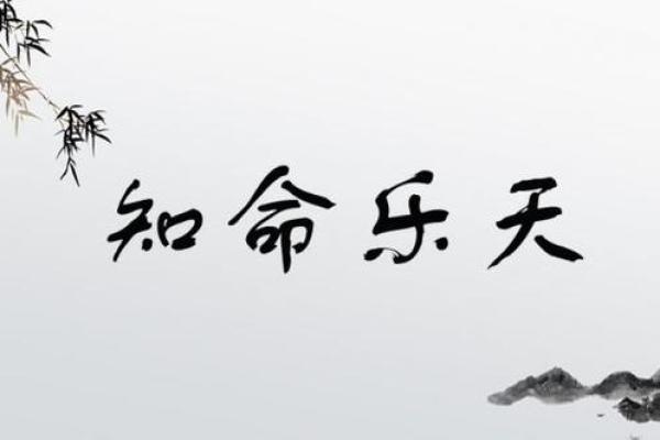 命运的多样性:探索“命什么多什么”的成语世界 命运的多样性:探索“命什么多什么”的成语世界
