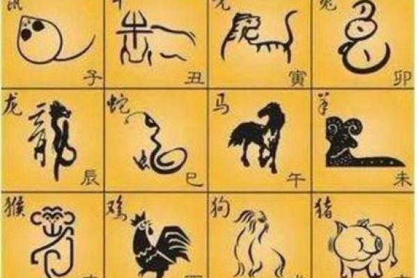 命运的多样性:探索“命什么多什么”的成语世界 命运的多样性:探索“命什么多什么”的成语世界