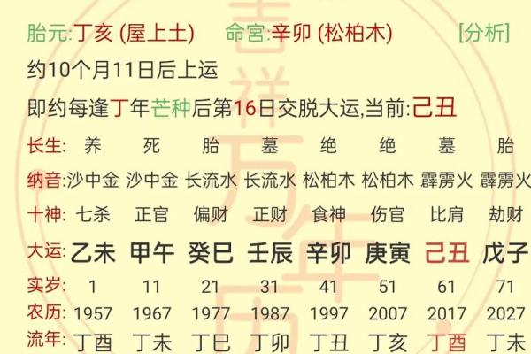 解密山下火命孩子的性格与需求：他们缺少什么？
