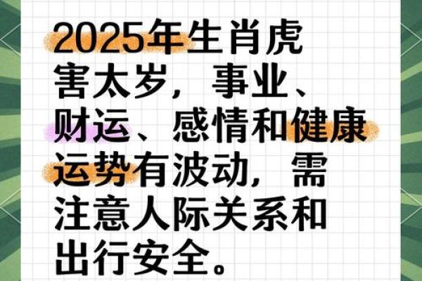 2022年虎年：关于虎年命运与生活的深度解析