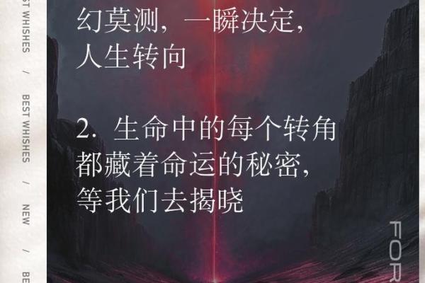 命的多重含义：探索命运、生命与个体的关系